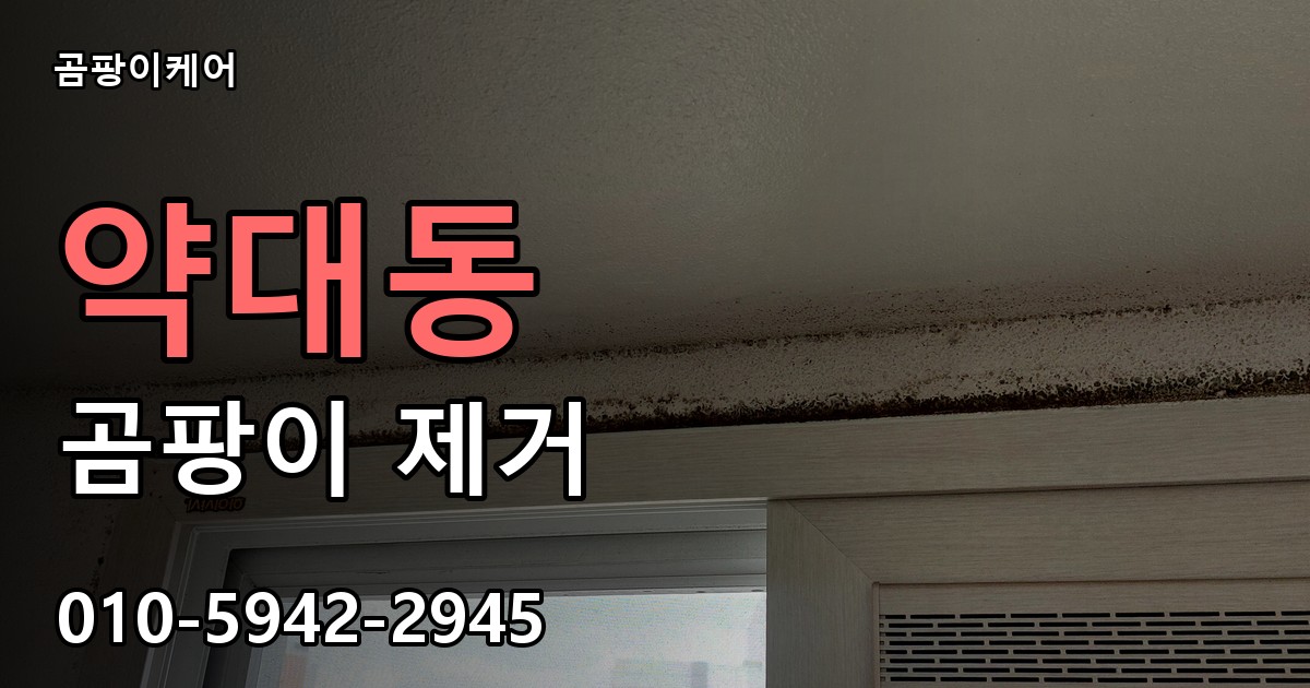 약대동 곰팡이 제거 - 곰팡이케어 실제 시공 현장
