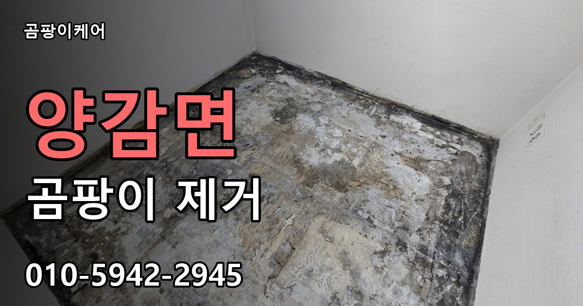 양감면 곰팡이 제거 - 곰팡이케어 실제 시공 현장