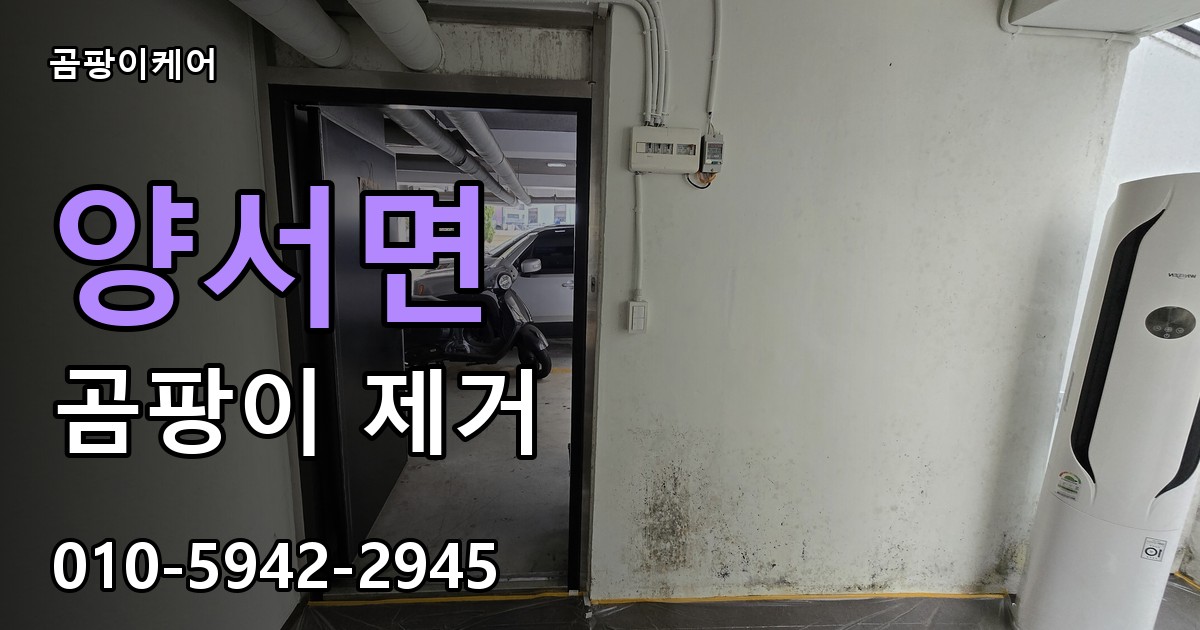 양서면 곰팡이 제거 - 곰팡이케어 실제 시공 현장