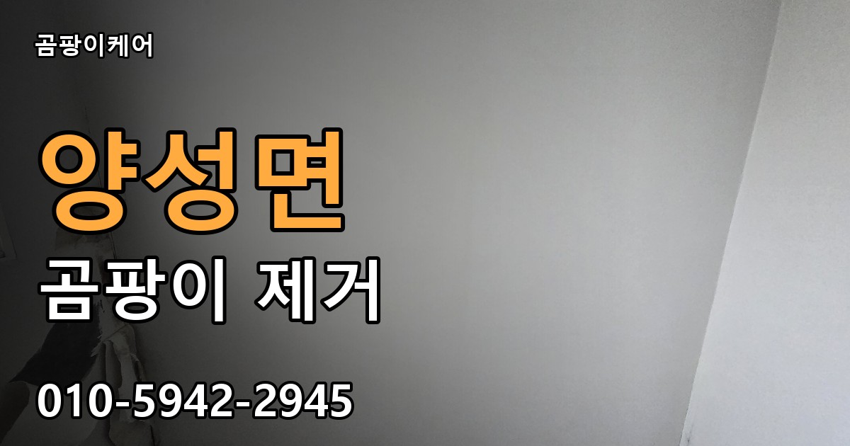 양성면 곰팡이 제거 - 곰팡이케어 실제 시공 현장