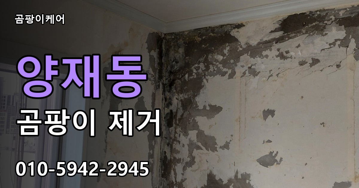 양재동 곰팡이 제거 - 곰팡이케어 실제 시공 현장