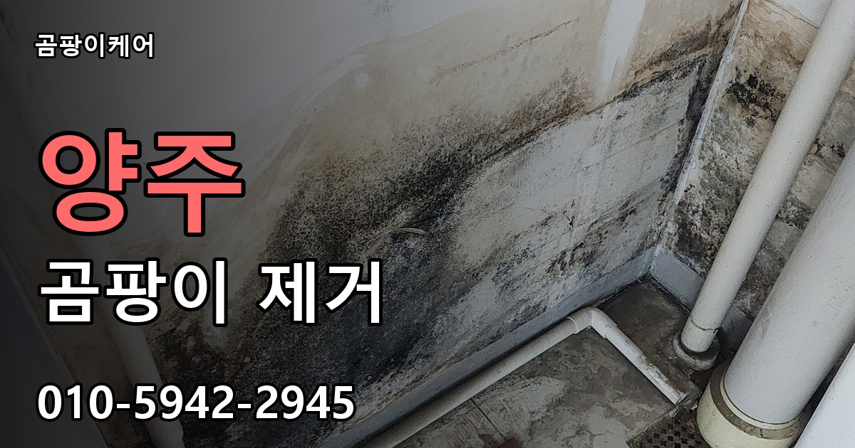 양주 곰팡이 제거 - 곰팡이케어 실제 시공 현장