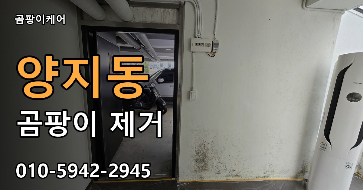 양지동 곰팡이 제거 - 곰팡이케어 실제 시공 현장