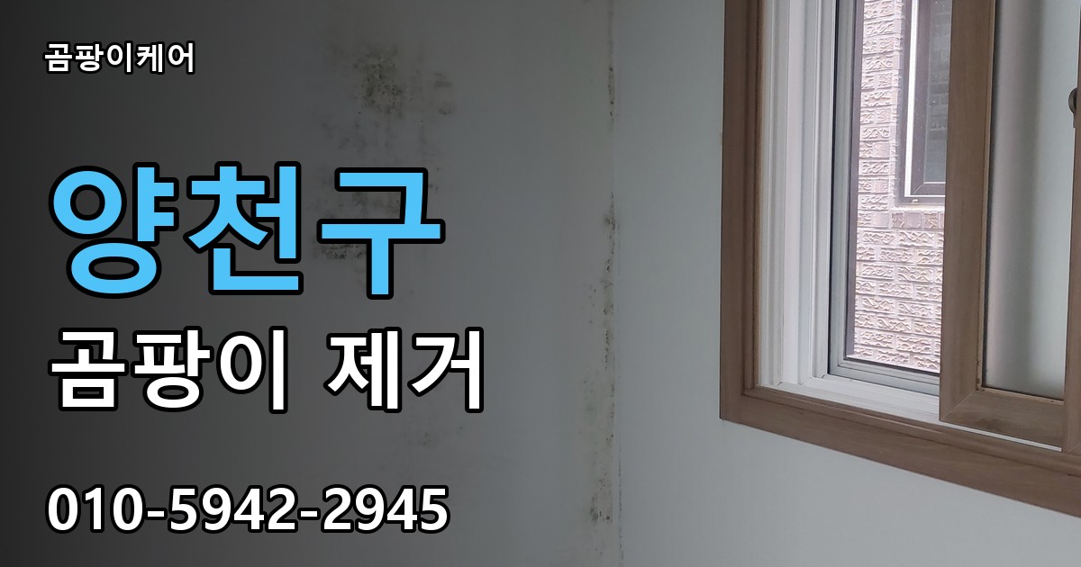 양천구 곰팡이 제거 - 곰팡이케어 실제 시공 현장