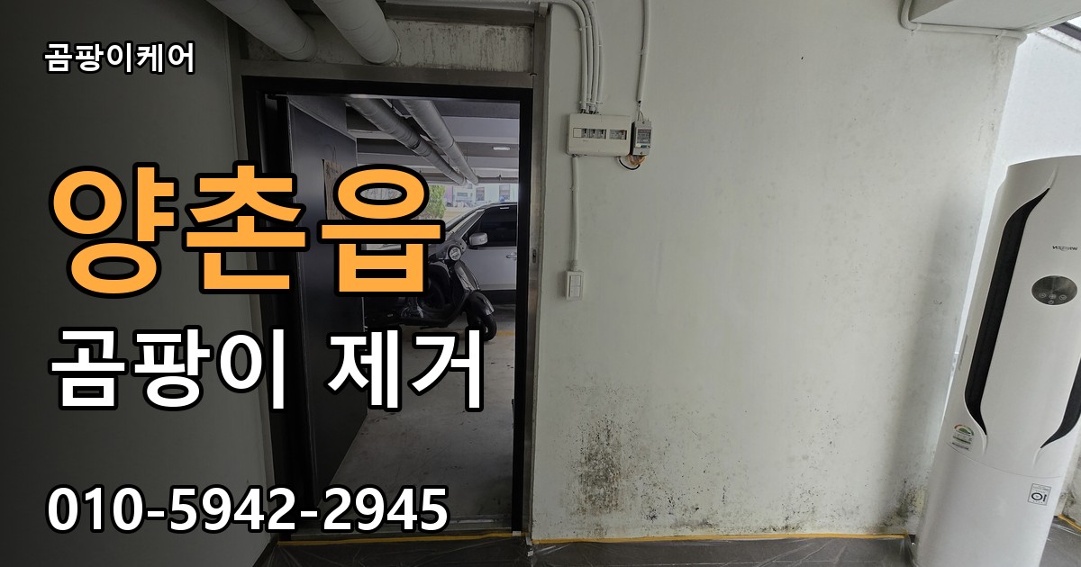 양촌읍 곰팡이 제거 - 곰팡이케어 실제 시공 현장