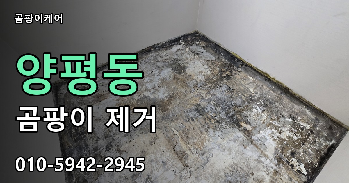 양평동 곰팡이 제거 - 곰팡이케어 실제 시공 현장