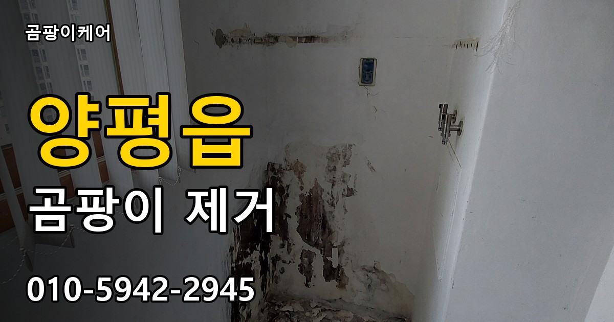양평읍 곰팡이 제거 - 곰팡이케어 실제 시공 현장