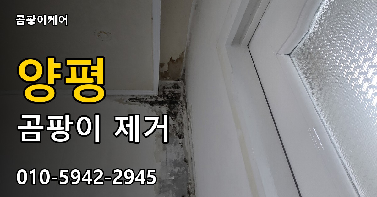양평 곰팡이 제거 - 곰팡이케어 실제 시공 현장