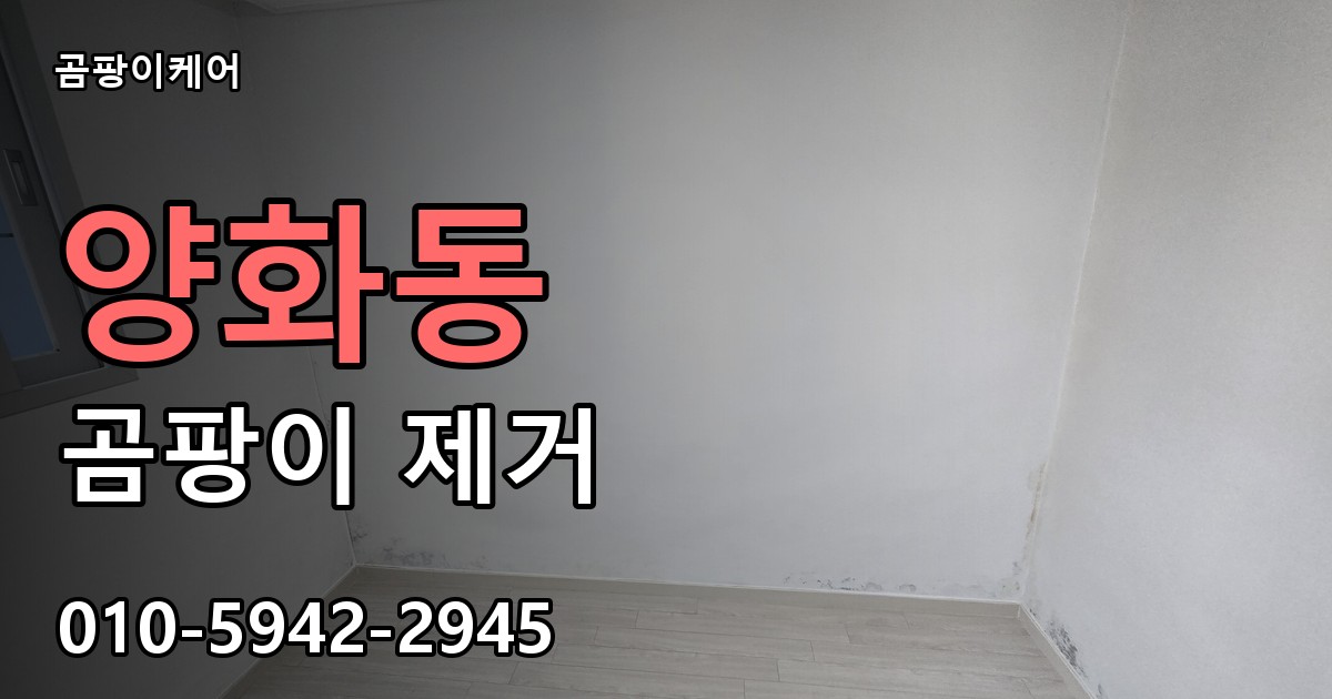 양화동 곰팡이 제거 - 곰팡이케어 실제 시공 현장