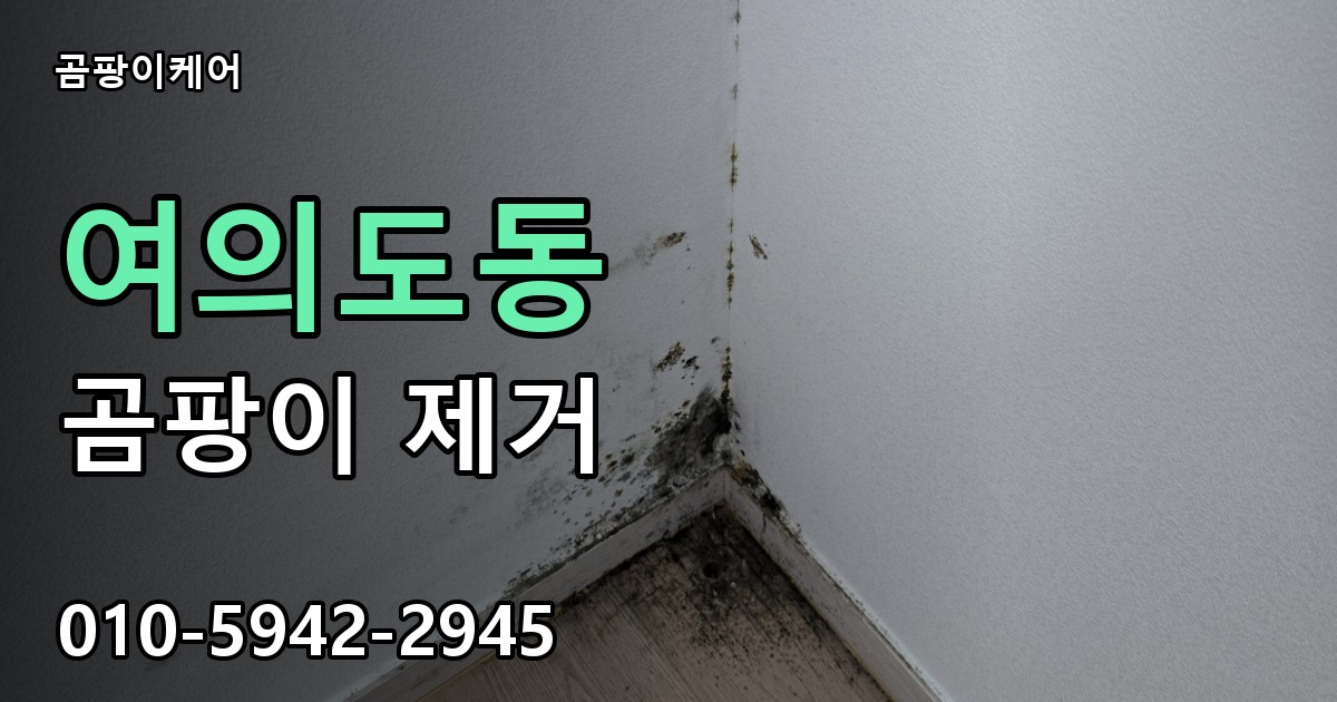 여의도동 곰팡이 제거 - 곰팡이케어 실제 시공 현장