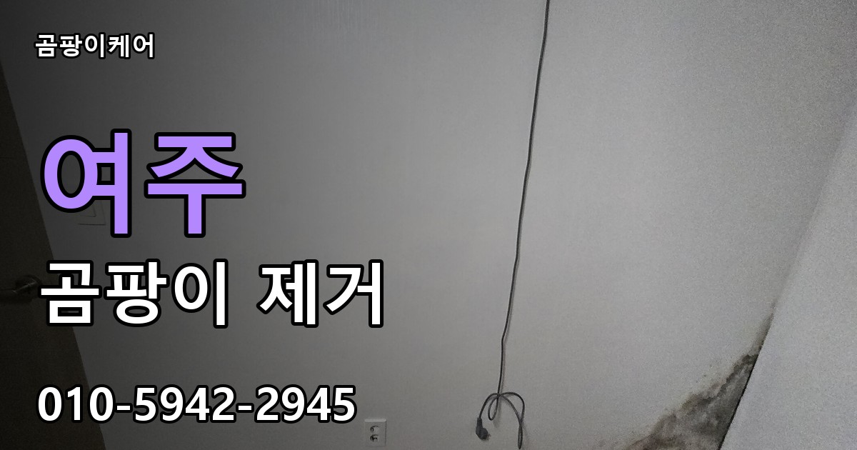 여주 곰팡이 제거 - 곰팡이케어 실제 시공 현장