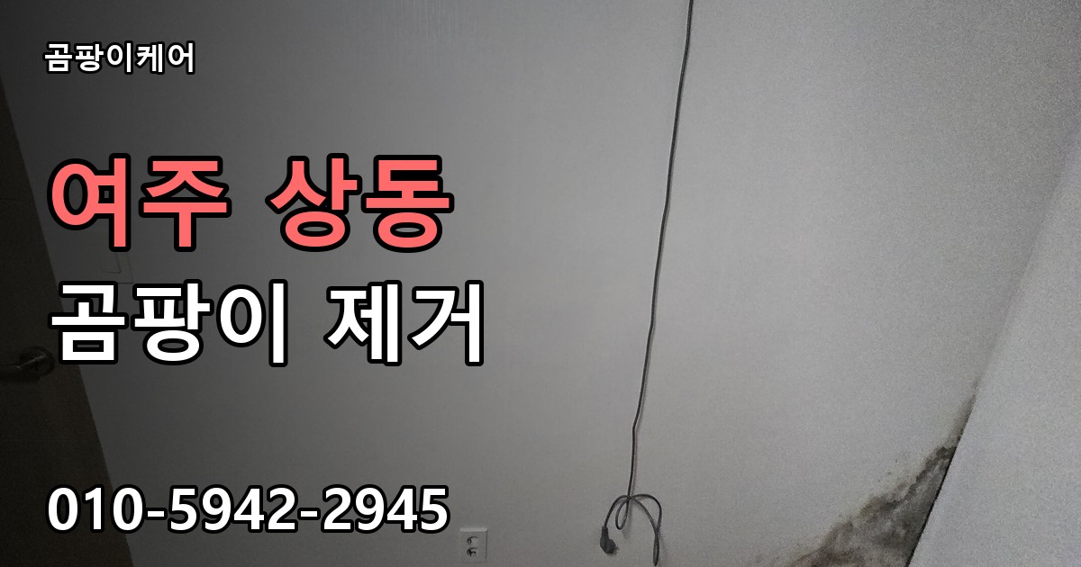 여주 상동 곰팡이 제거 - 곰팡이케어 실제 시공 현장