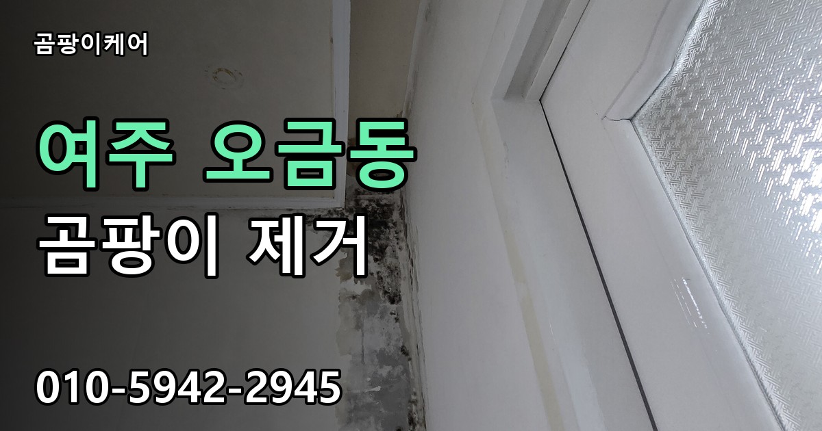 여주 오금동 곰팡이 제거 - 곰팡이케어 실제 시공 현장