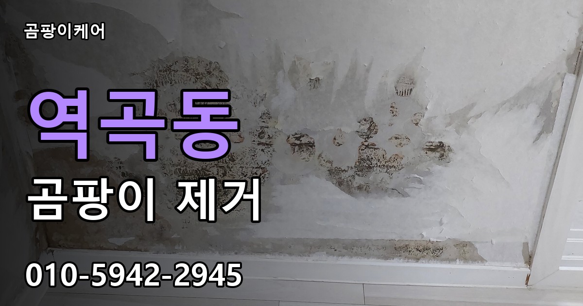 역곡동 곰팡이 제거 - 곰팡이케어 실제 시공 현장
