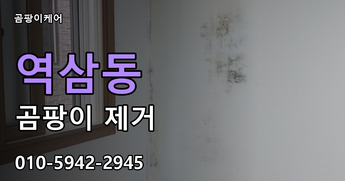 역삼동 곰팡이 제거 - 곰팡이케어 실제 시공 현장
