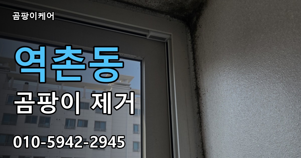 역촌동 곰팡이 제거 - 곰팡이케어 실제 시공 현장