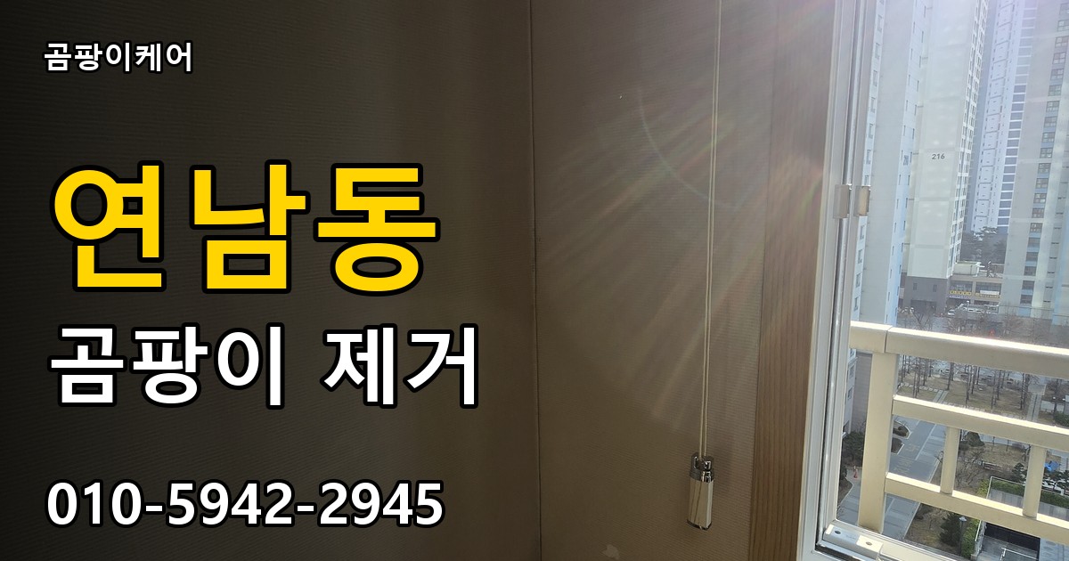 연남동 곰팡이 제거 - 곰팡이케어 실제 시공 현장