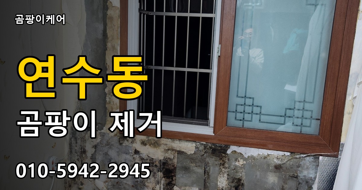 연수동 곰팡이 제거 - 곰팡이케어 실제 시공 현장