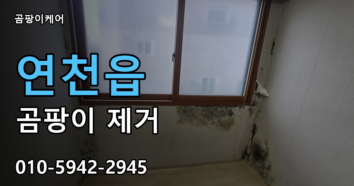연천읍 곰팡이 제거 - 곰팡이케어 실제 시공 현장