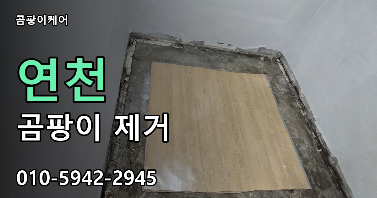 연천 곰팡이 제거 - 곰팡이케어 실제 시공 현장