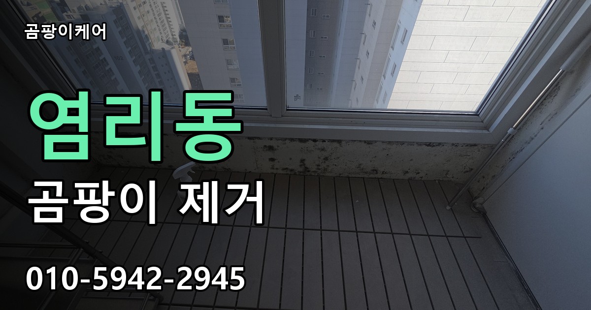 염리동 곰팡이 제거 - 곰팡이케어 실제 시공 현장