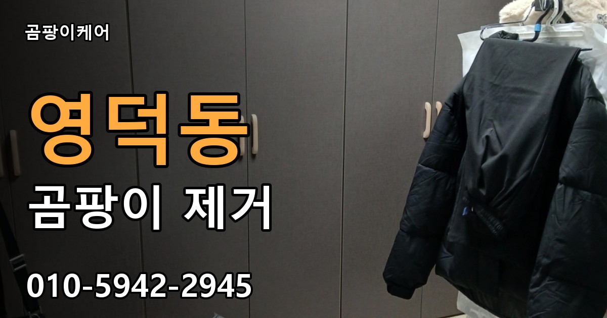 영덕동 곰팡이 제거 - 곰팡이케어 실제 시공 현장