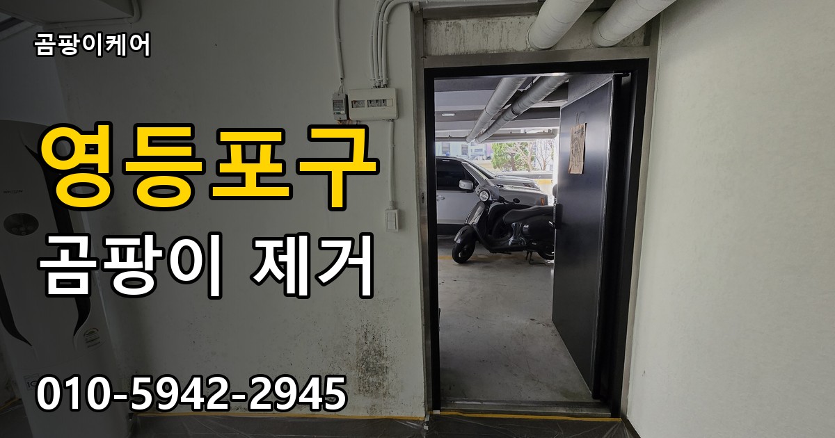 영등포구 곰팡이 제거 - 곰팡이케어 실제 시공 현장