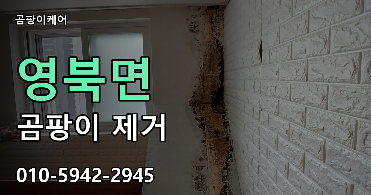 영북면 곰팡이 제거 - 곰팡이케어 실제 시공 현장