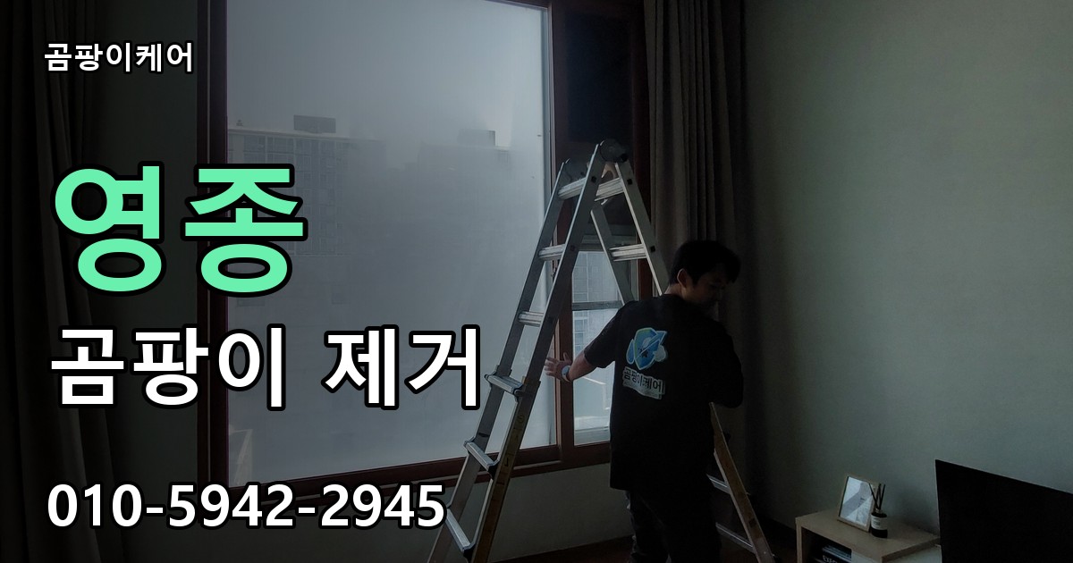 영종 곰팡이 제거 - 곰팡이케어 실제 시공 현장