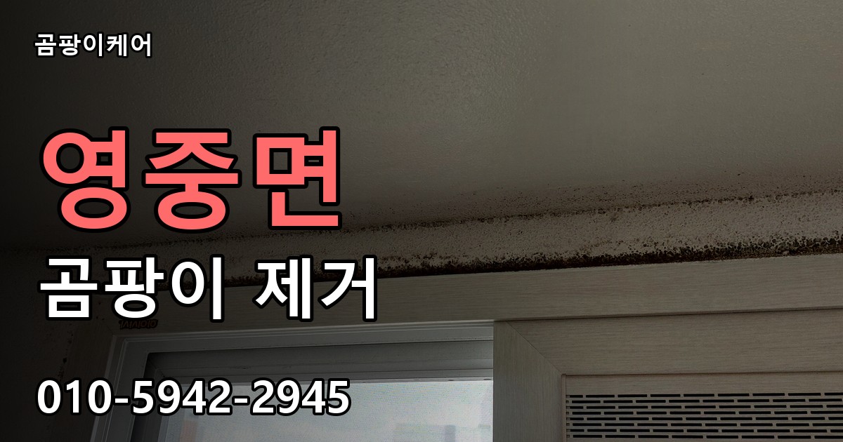 영중면 곰팡이 제거 - 곰팡이케어 실제 시공 현장