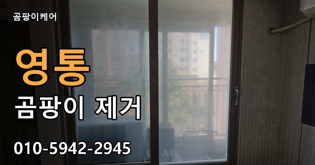 영통 곰팡이 제거 - 곰팡이케어 실제 시공 현장