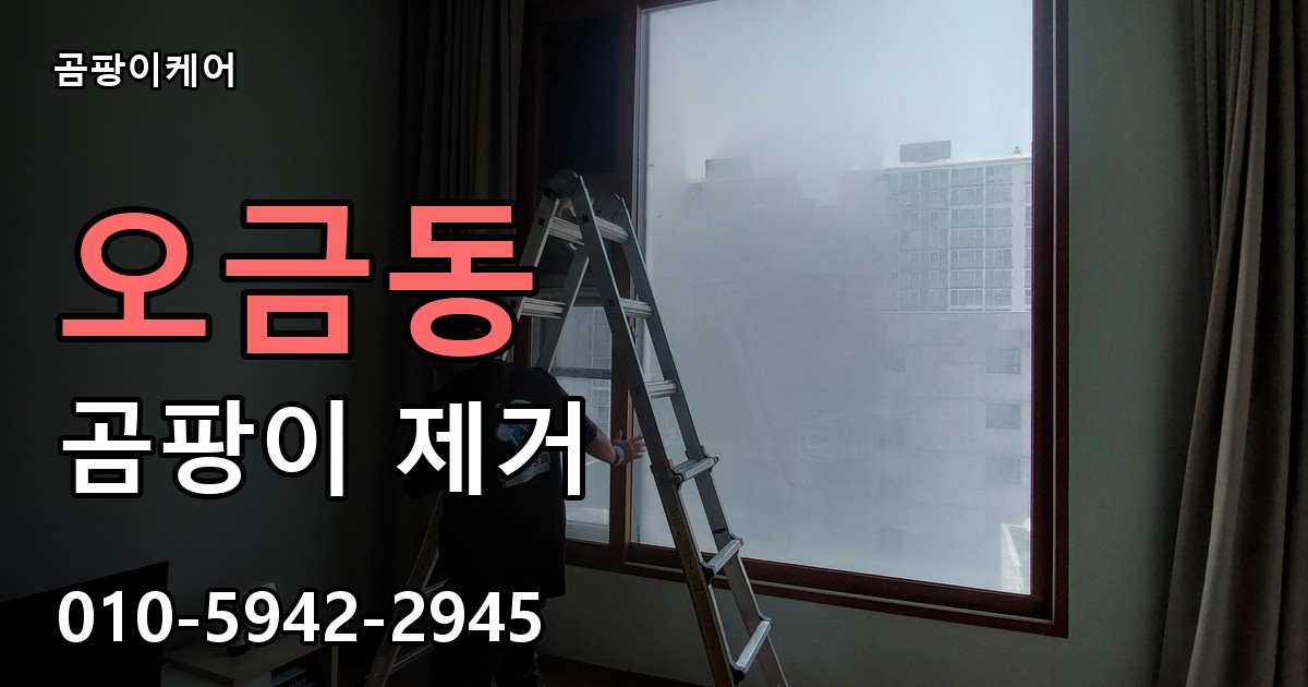 오금동 곰팡이 제거 - 곰팡이케어 실제 시공 현장