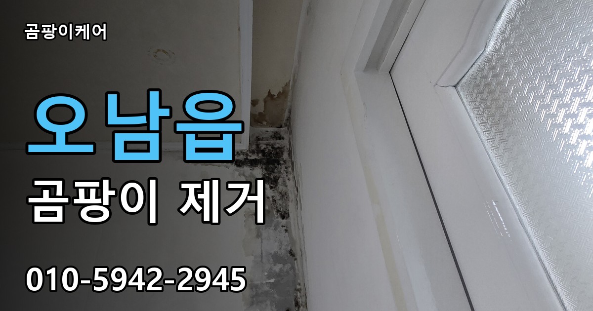 오남읍 곰팡이 제거 - 곰팡이케어 실제 시공 현장
