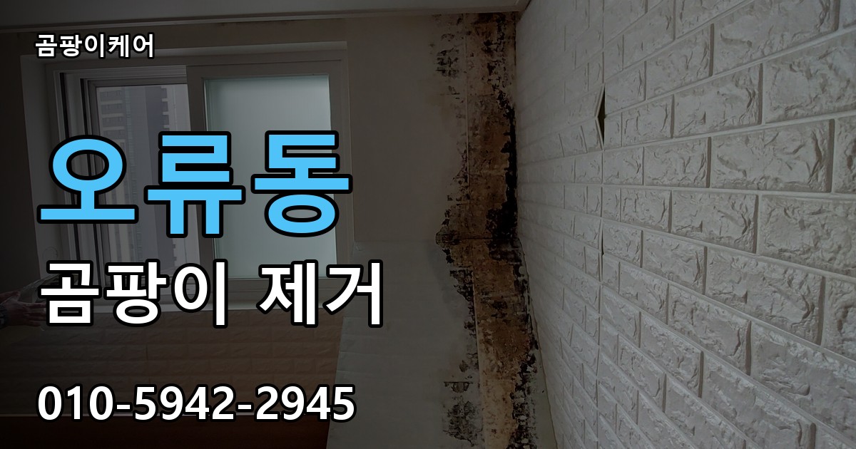 오류동 곰팡이 제거 - 곰팡이케어 실제 시공 현장