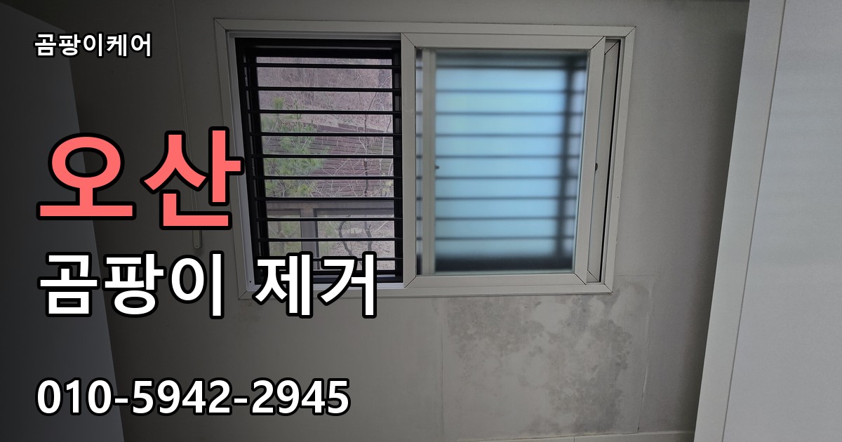 오산 곰팡이 제거 - 곰팡이케어 실제 시공 현장
