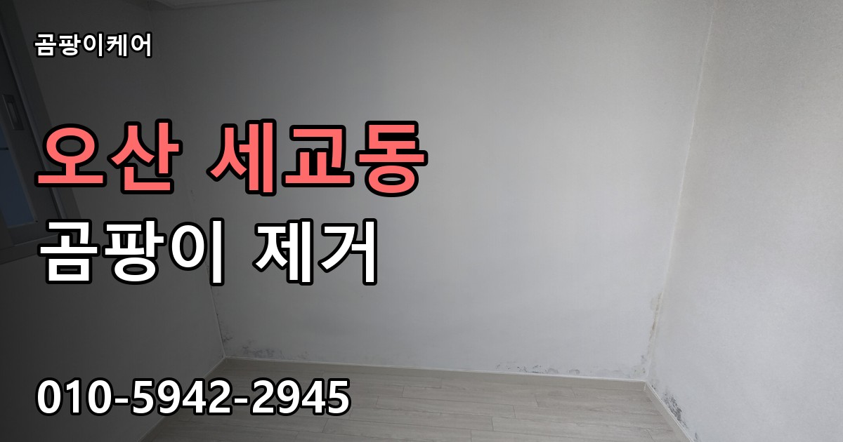 오산 세교동 곰팡이 제거 - 곰팡이케어 실제 시공 현장