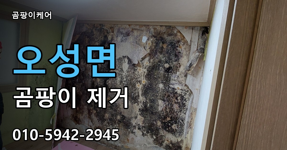 오성면 곰팡이 제거 - 곰팡이케어 실제 시공 현장