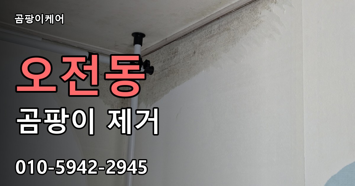 오전동 곰팡이 제거 - 곰팡이케어 실제 시공 현장