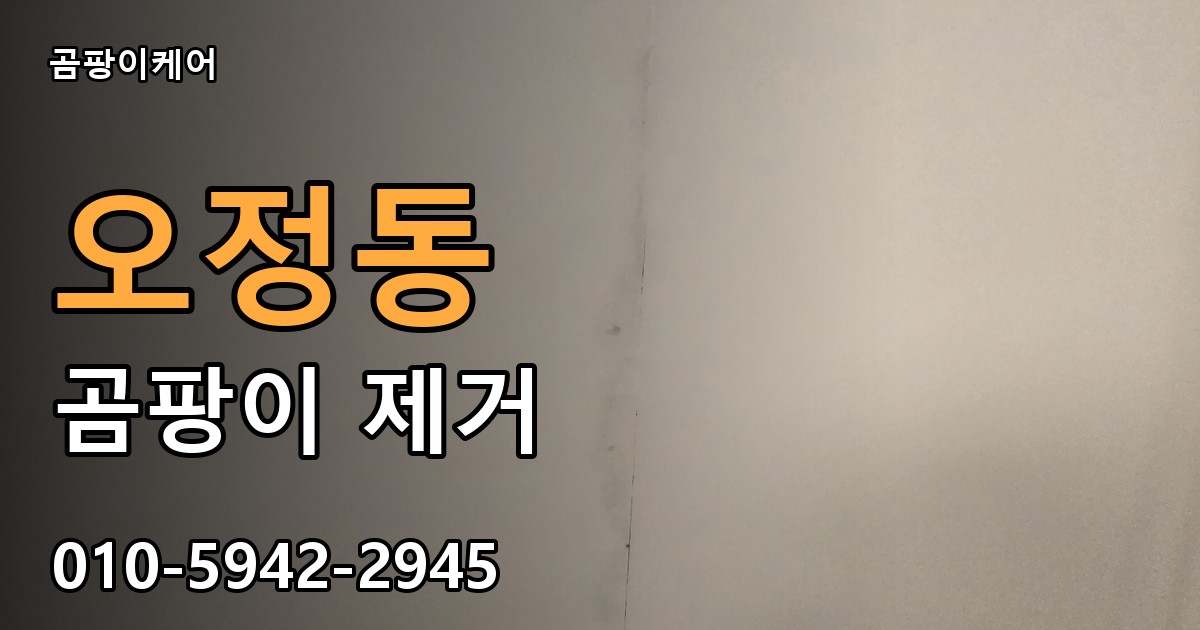 오정동 곰팡이 제거 - 곰팡이케어 실제 시공 현장