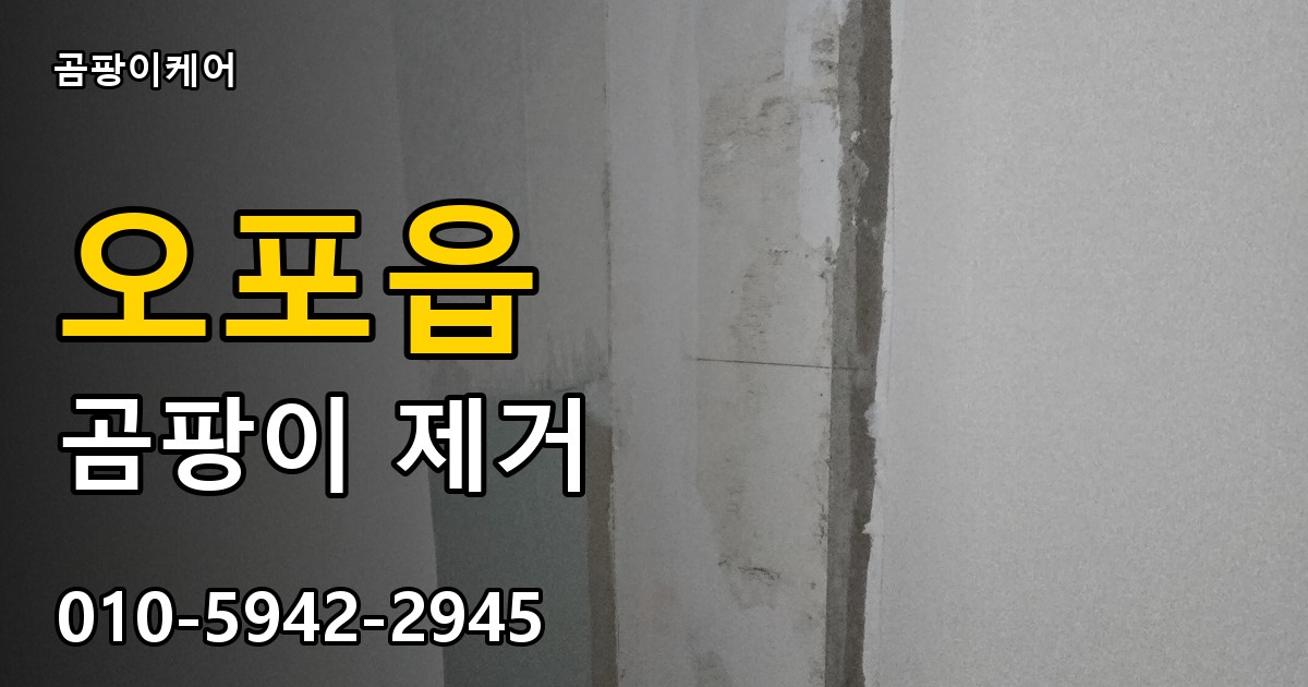 오포읍 곰팡이 제거 - 곰팡이케어 실제 시공 현장