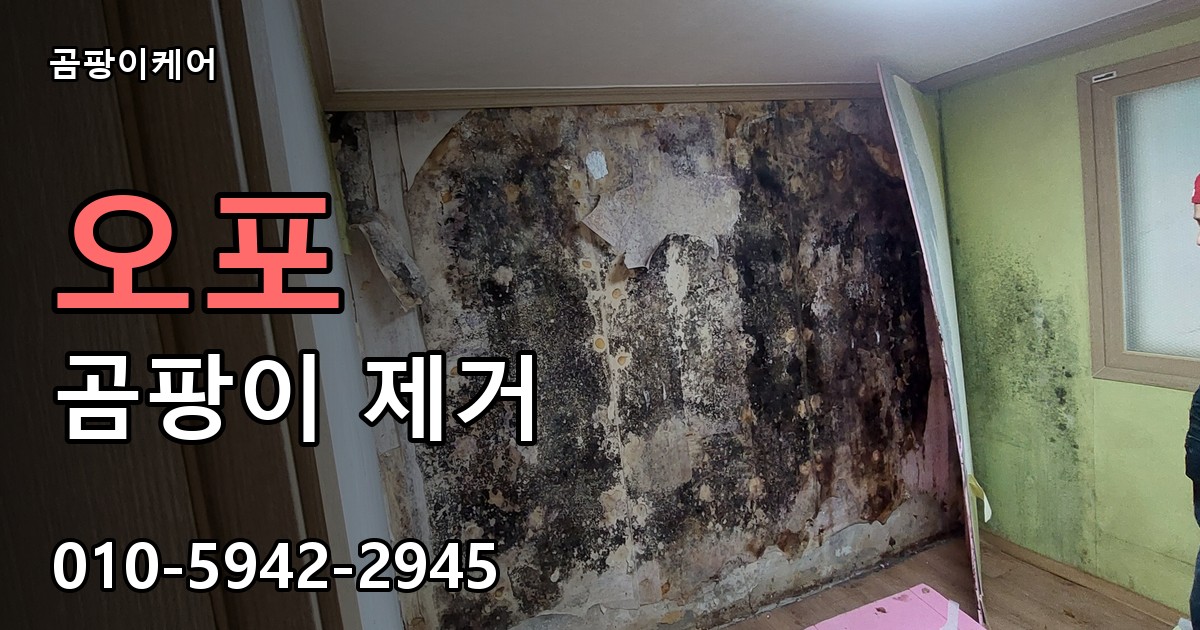 오포 곰팡이 제거 - 곰팡이케어 실제 시공 현장