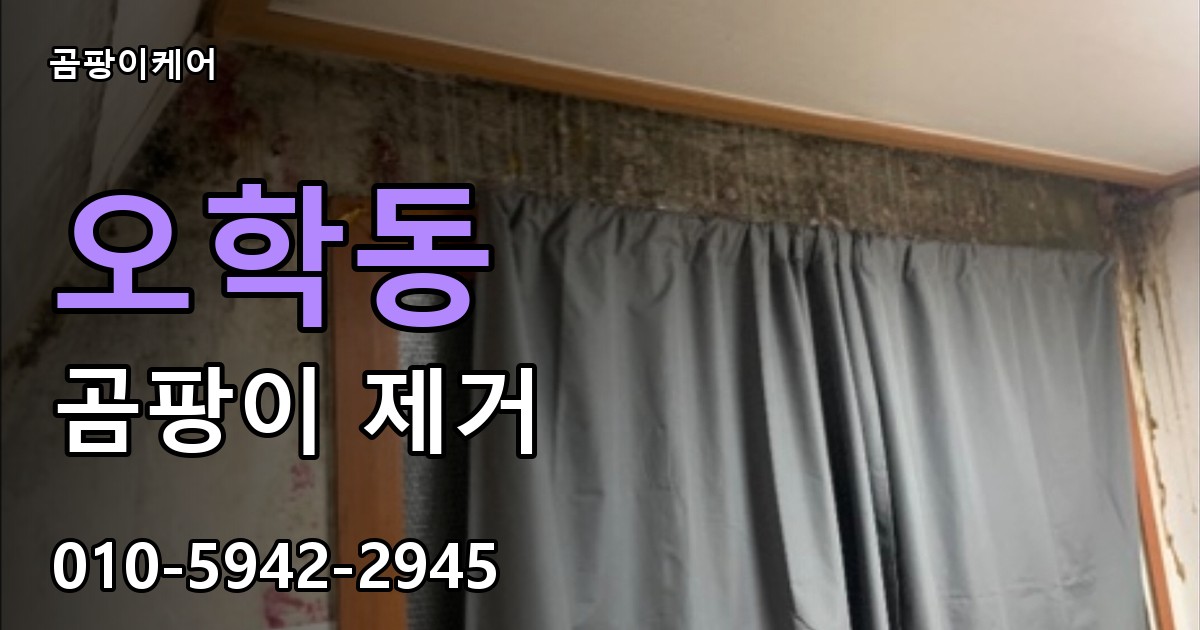 오학동 곰팡이 제거 - 곰팡이케어 실제 시공 현장