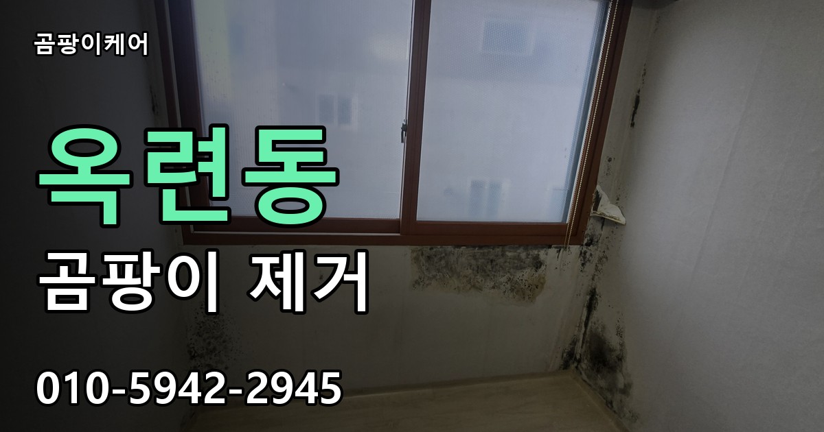 옥련동 곰팡이 제거 - 곰팡이케어 실제 시공 현장