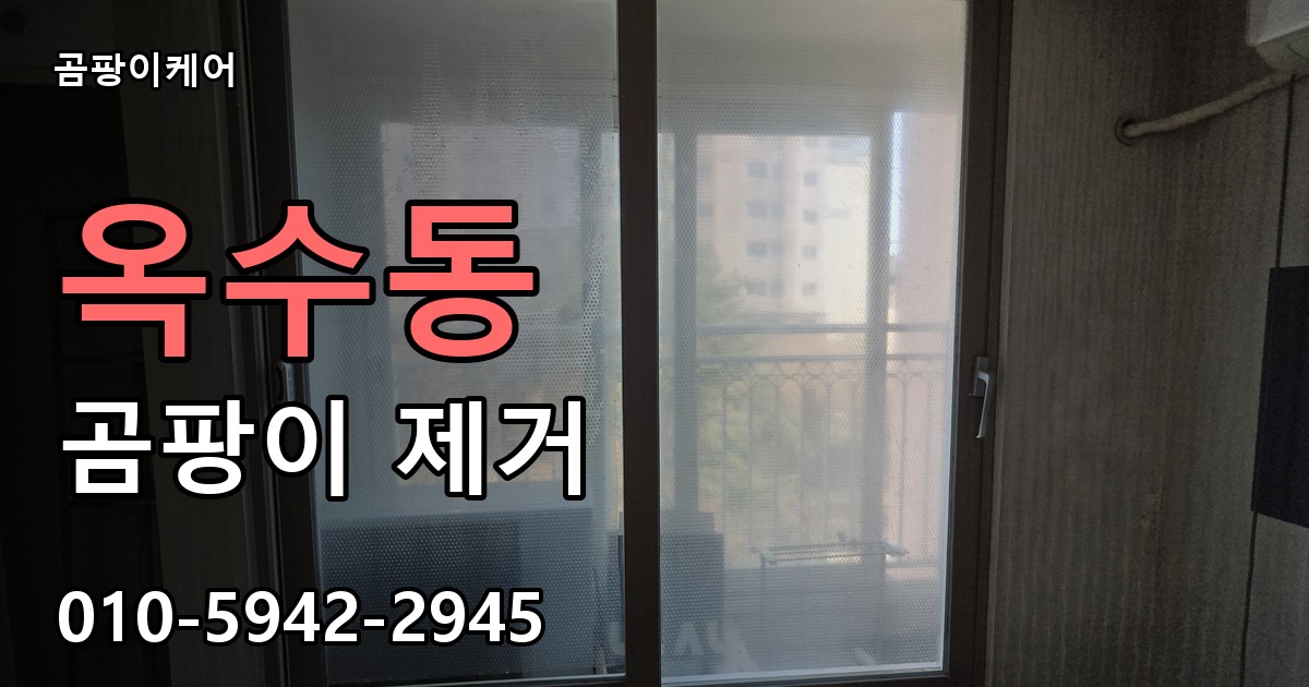 옥수동 곰팡이 제거 - 곰팡이케어 실제 시공 현장