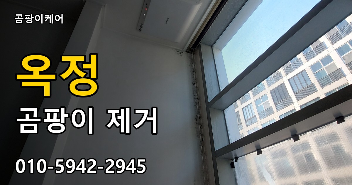 옥정 곰팡이 제거 - 곰팡이케어 실제 시공 현장