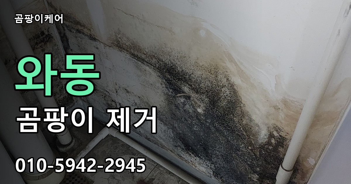와동 곰팡이 제거 - 곰팡이케어 실제 시공 현장