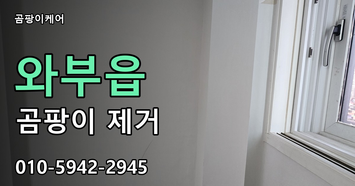 와부읍 곰팡이 제거 - 곰팡이케어 실제 시공 현장