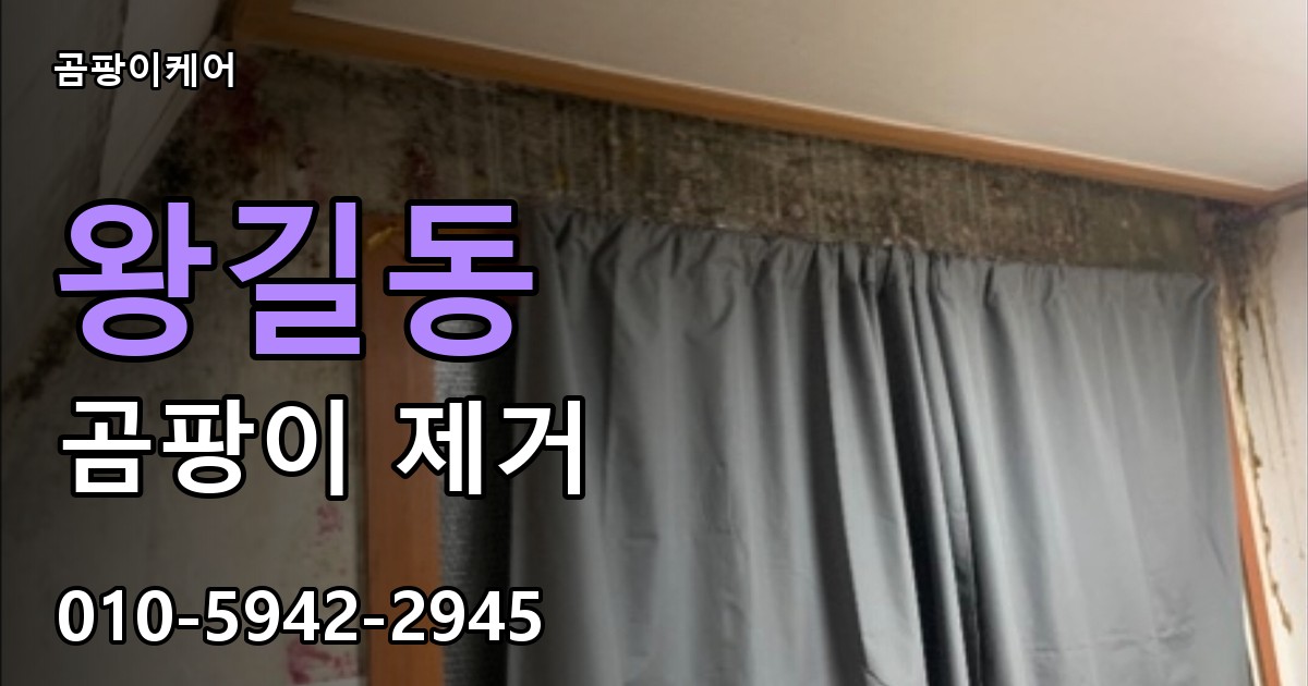 왕길동 곰팡이 제거 - 곰팡이케어 실제 시공 현장