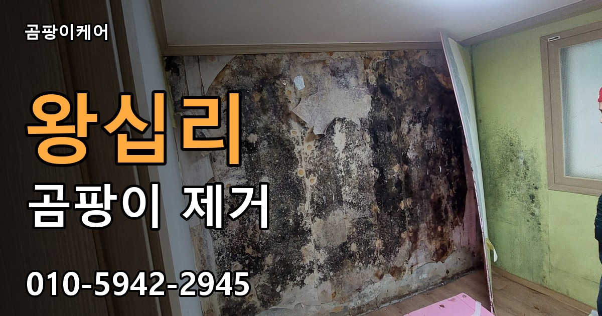 왕십리 곰팡이 제거 - 곰팡이케어 실제 시공 현장