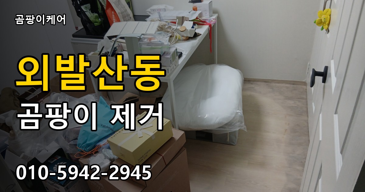 외발산동 곰팡이 제거 - 곰팡이케어 실제 시공 현장